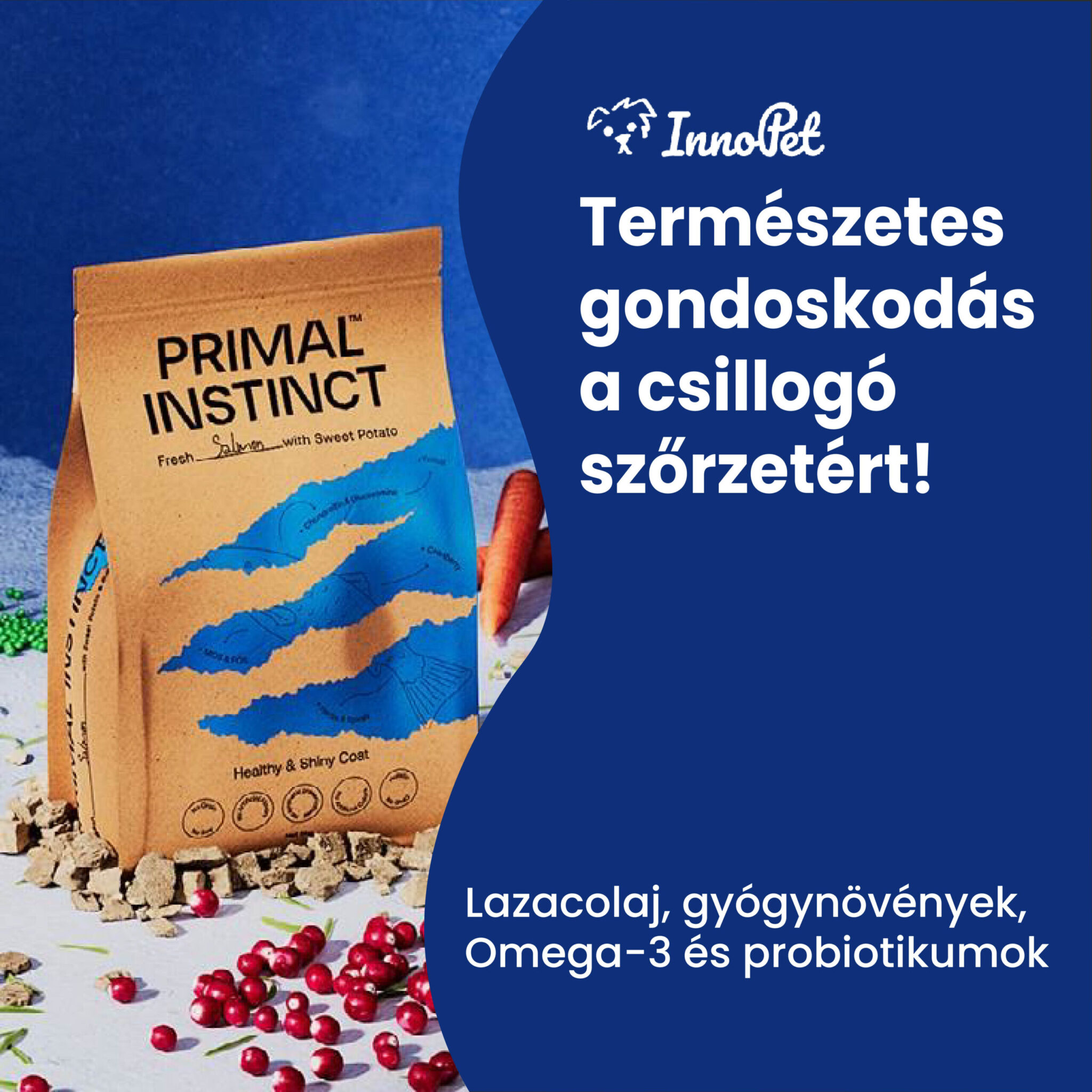 Inno pet képek 202507
