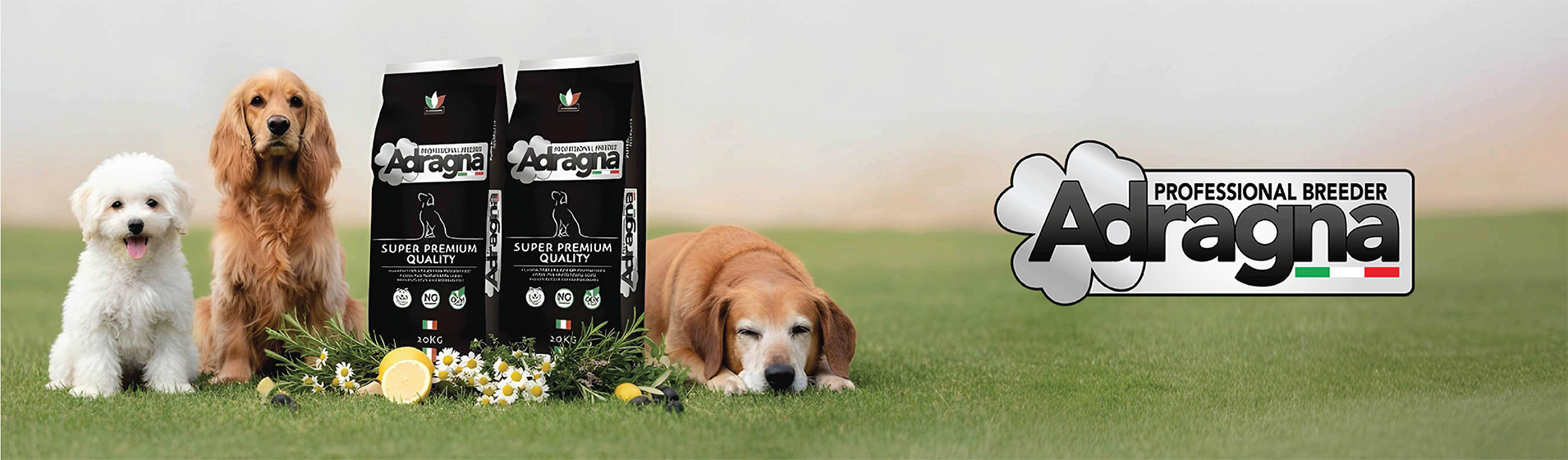 Three dogs sit and rest on a grassy field beside two Adragna dog food bags and a 'Professional Breeder' logo on the right.