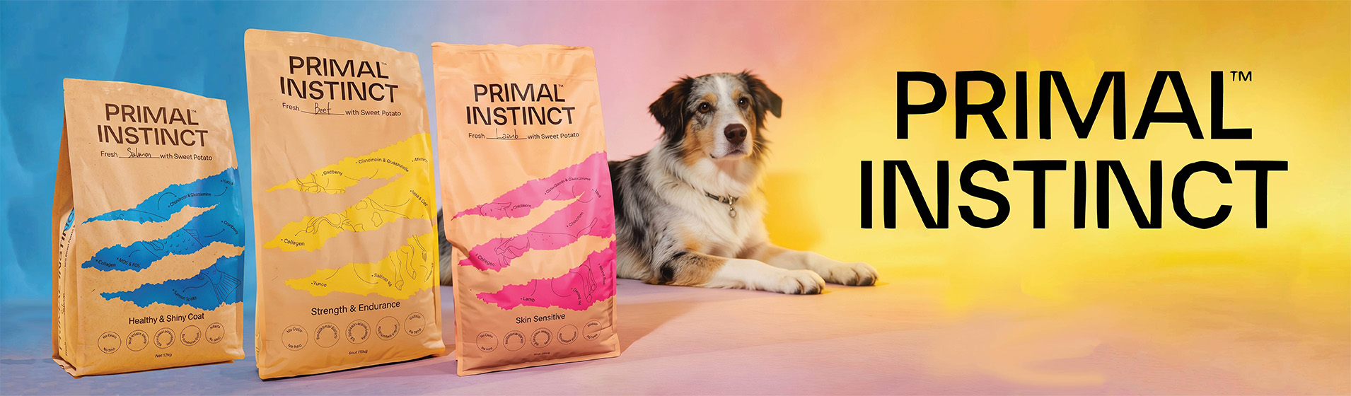 Primal2 1910x560